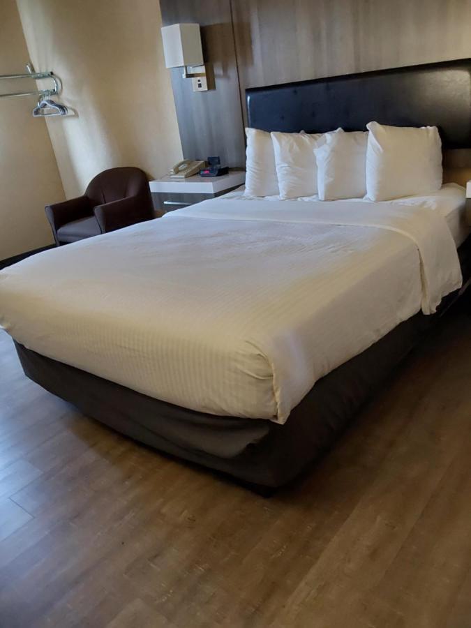 Lavissh Inn And Suites Беллингхэм Экстерьер фото