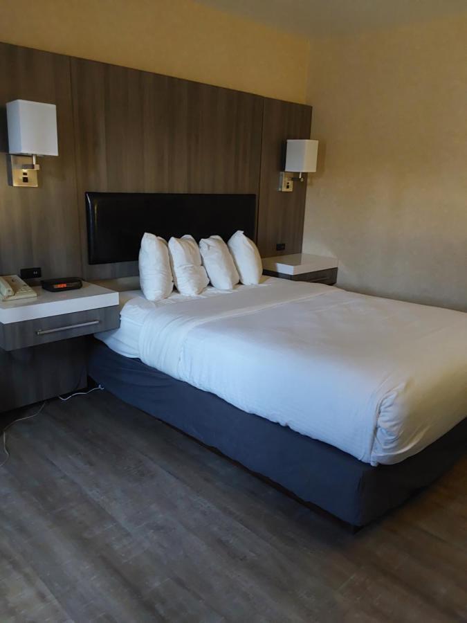 Lavissh Inn And Suites Беллингхэм Экстерьер фото