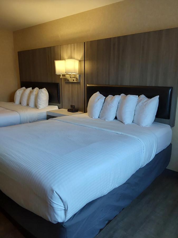 Lavissh Inn And Suites Беллингхэм Экстерьер фото