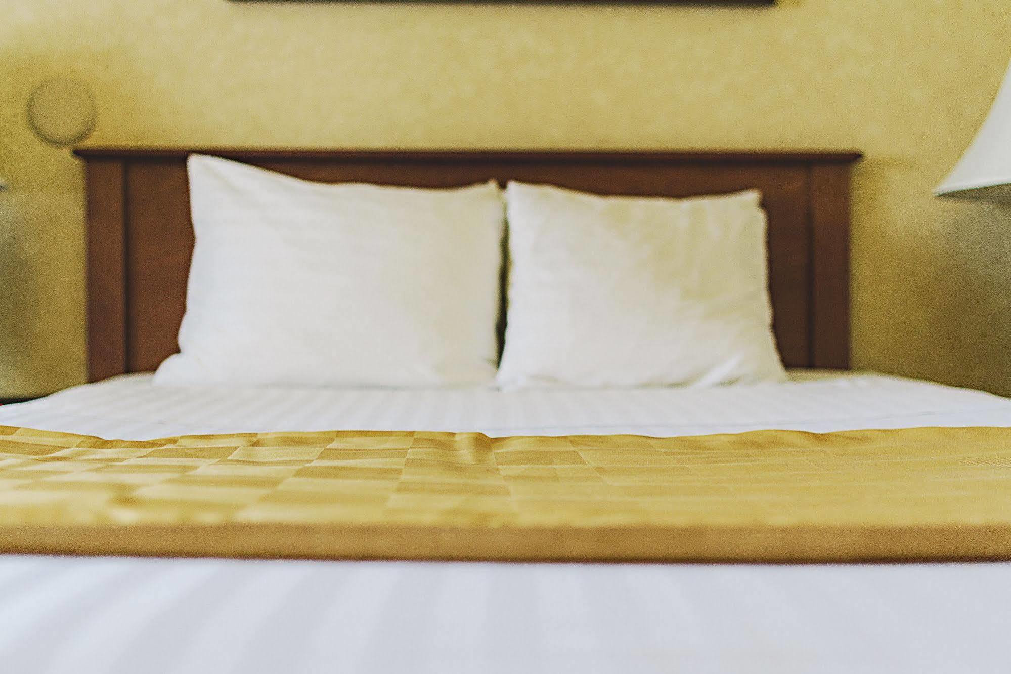 Lavissh Inn And Suites Беллингхэм Экстерьер фото