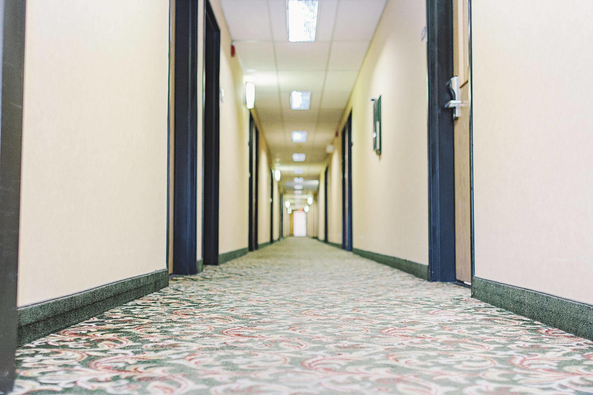 Lavissh Inn And Suites Беллингхэм Экстерьер фото